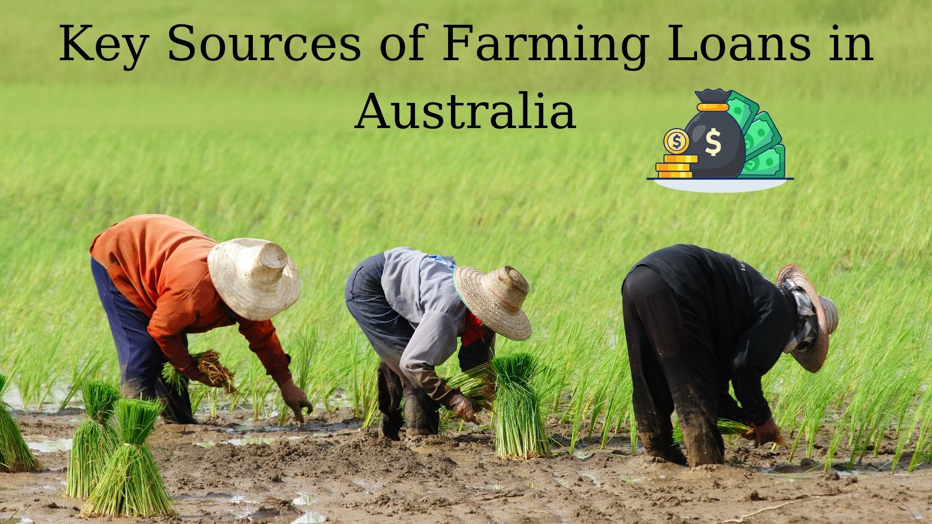 key sources of farming loans in Australia
